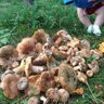 Фото профиля eee?