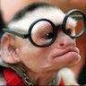 Mike Crawford's profile picture