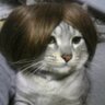 京平's profile picture