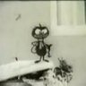 L T FLY profil fotoğrafı