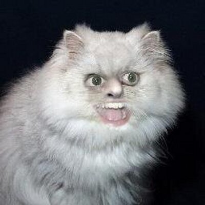 goodforanother's profile picture