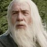 Gandalf Lord of the Memes's profile picture