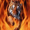 Guntars's profile picture