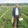 masum karaalp profil fotoğrafı