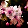 ريما الراشد's profile picture