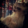 .RaizaD. profil fotoğrafı