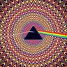 hippie 的头像