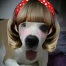 chichipare 的头像