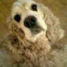 Profilbild von sachiko