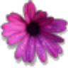 fmsj hariri's profile picture