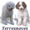 terresnoves 🍊's profile picture