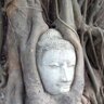 ะคะพัะพ ะฟัะพัะธะปั ใฒใใใใฉใ