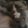 Rebecca lynn E.'s profile picture
