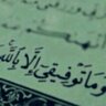 Фото профиля عبدالعزيز