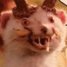 Profilbild von Baele
