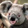 Фото профиля Aussie Jon