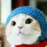 町's profile picture