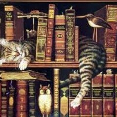 Kitap Alıntısı's profile picture