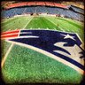 Cabopimpollo's profile picture