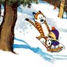 Ed Wiener 🇺🇦 的头像