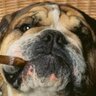 Profilbild von Murph11