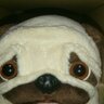 Profilbild von H.T