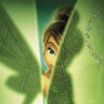 TinkerBella🧚🏻‍♀️ profil fotoğrafı