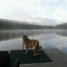 Ozzy's profile picture