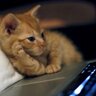 DJ Famous Name's profile picture