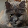 Bubski's profile picture