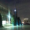 こっつい's profile picture