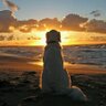 GegeDuG9's profile picture