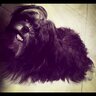 Jumanji's profile picture