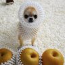 みぃ 的头像