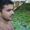 Douglas Freire's profile picture