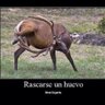 Marcos Gonzalez profil fotoğrafı