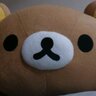 るーど＠'s profile picture
