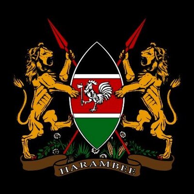 NDOCKenya's profile picture
