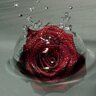 sümeyra yenilmez profil fotoğrafı