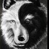 Profilbild von JoWolf