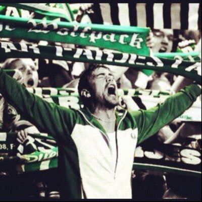 Niklas Lindqvist's profile picture