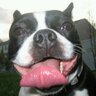 probable spam show's profile picture