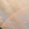 Profilbild von Evelyn Miller