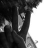 Great Fades's profile picture