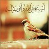 Фото профиля *・゜゚・*:.。..。.ابوزايد