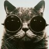 David P Gibson's profile picture