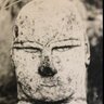 本位田義政 profil fotoğrafı