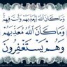 Profilbild von هلالي مخضرم