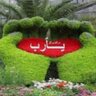 إعتدال إسكندر's profile picture