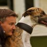 petra kerschbaum🐕🐴📷NV N1+2,RioN1+2,ViennaN1,2,3 的头像